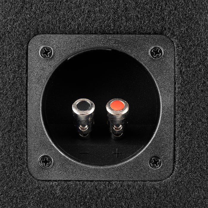 DS18 GEN-X210LD Bass Package 2 x GEN-X104D 10" Subwoofers In a Ported Box 1600 Watts